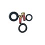 کیت سوخت پاش ایرانی کامل